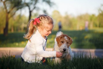 Фотография ребенка с собакой в парке